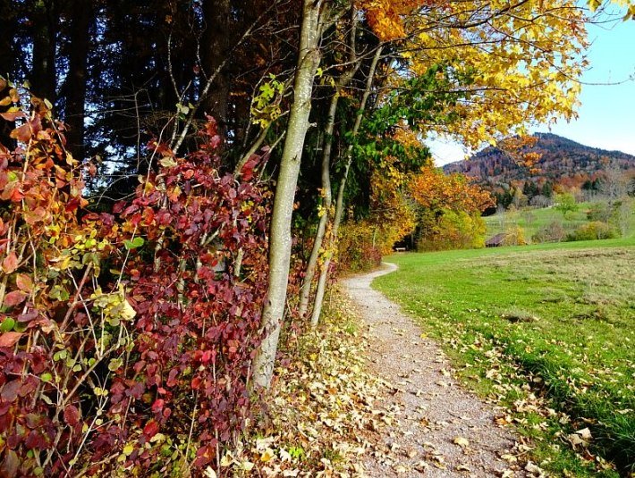 Herbst in Benediktbeuern, &copy; G&auml;steinformation Benediktbeuern