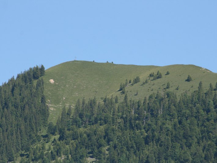 Hirschh&ouml;rndlkopf, &copy; T&ouml;lzer Land Tourismus