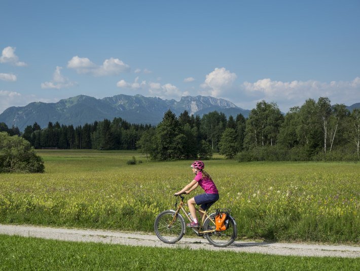 Eine Radfahrerin f&auml;hrt auf einem Radweg zwischen bunten Blumenwiesen; im Hintergrund erhebt sich die markante Benediktenwand, &copy; T&ouml;lzer Land Tourismus|J&ouml;rg Spaniol